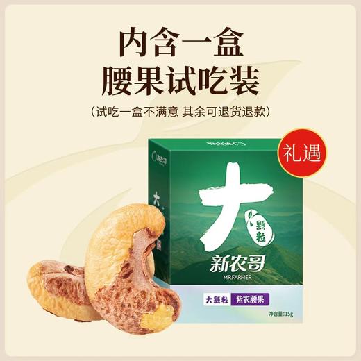 [唐老板专属][头茬新货 鲜采上市]新农哥正宗大颗粒腰果225g*4罐饱满大腰果原味盐焗解馋零食干果- 商品图3