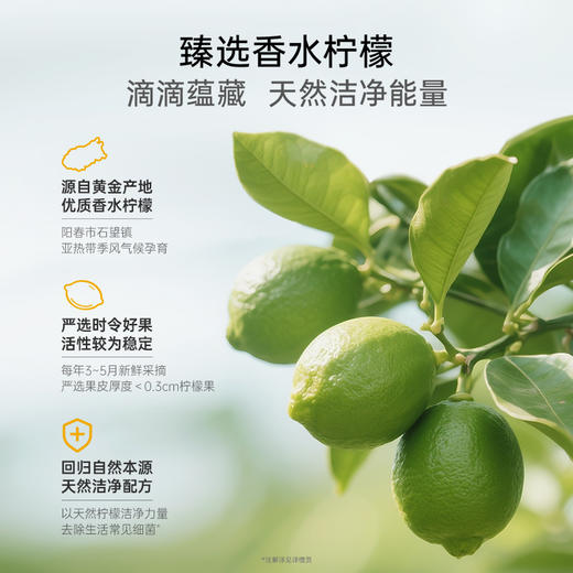 【高效除菌99.9%】袋鼠妈妈天然香水柠檬洗衣液  深层洁净 温和护衣 持久清香 百千万工程助农惠农产品 商品图2