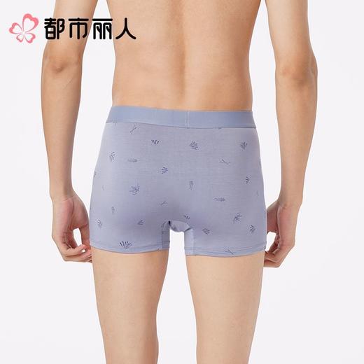 都市丽人内裤男士内裤50S人棉内裤人棉平角内裤明筋内裤FKCG06 商品图2