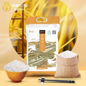 深粮多喜金粘玉油粘米 软糯泛油光 米粒细长晶白