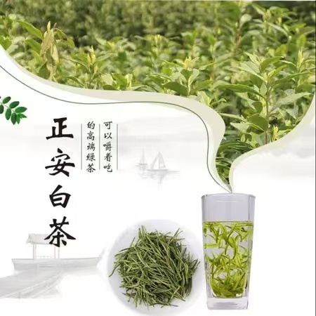 【正安白茶】一芽一叶  滋味鲜爽回甘  叶底嫩绿明亮 