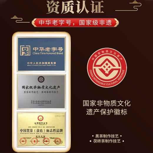 【湘益茯茶·五年陈金花茶仓】中华老字号+联合国&GJ级非遗入口顺滑 好喝更健康 240g*盒/送高端手提礼盒*礼袋 商品图8