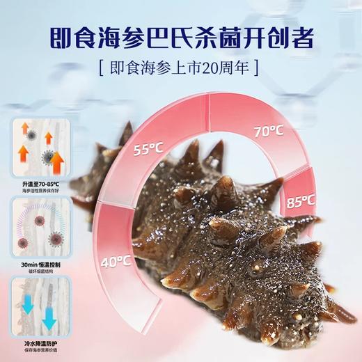 【大连老字号 口感爽脆软糯】晓芹即食海参正宗560g7头*2包大连海参辽刺参 15道专业工艺 营养不流失 商品图1