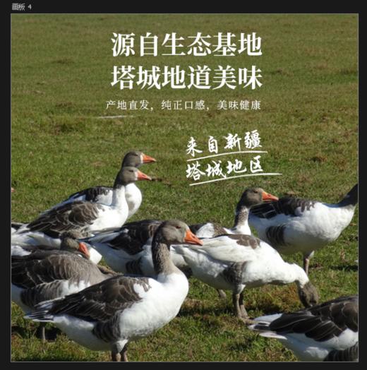 额雁·新疆塔城果木熏鹅1800g/只  肉质细腻嫩滑 商品图3