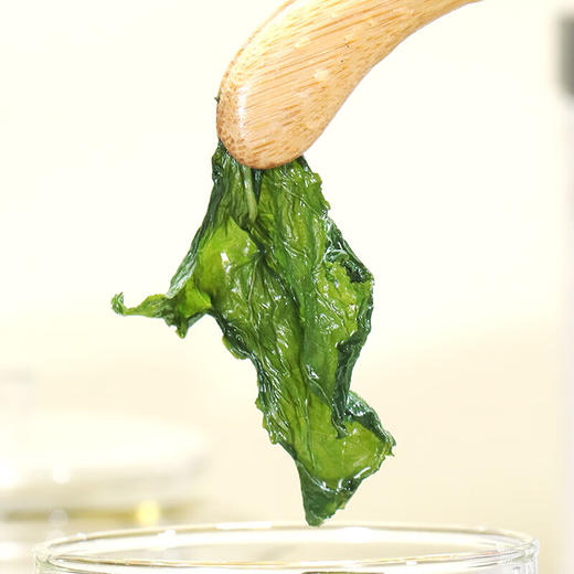 福东海 蒲公英叶茶100克 婆婆丁新鲜莆公英长白山泡水清纯花草茶 商品图4