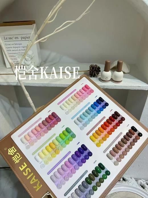 恺舍KAISE-80色【秋日私语】 商品图2