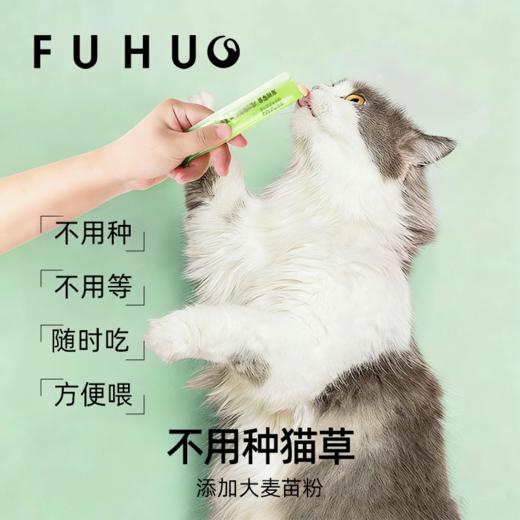 【俘获好礼】俘获F1猫草猫条鱼油猫条营养猫咪零食猫条补水助排化毛湿粮 商品图1