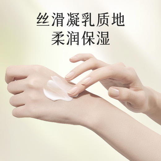 柚香谷 YUZU VALLEY 柚姿清爽护手霜25g 商品图2