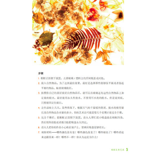 《脏一点也没关系：50多个让孩子和自然深度联结的科学与艺术活动》 商品图9