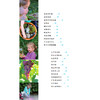 《脏一点也没关系：50多个让孩子和自然深度联结的科学与艺术活动》 商品缩略图4