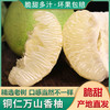 【万山香柚】一口清香脆爽多汁28.8元5斤包邮 偏远地区不发货 商品缩略图0