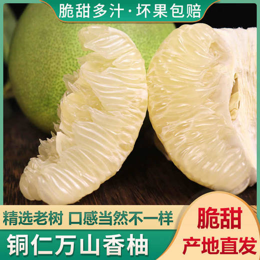 【万山香柚】一口清香脆爽多汁28.8元5斤包邮 偏远地区不发货 商品图0