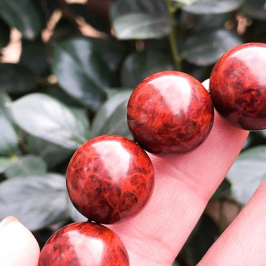 【青山特惠】1.8*13颗5星嫩瘤半满瘤疤小叶紫檀手串 （无胶嫩瘤）t31 商品图1