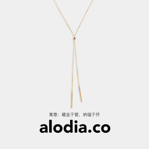 【新年礼物】alodia.co 品牌直发 循序极简金色圆管抽拉毛衣链多戴项链 高级感长期主义百搭 商品图0