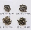 福州茉莉花茶  十二窨 芳香浓郁 一闻知茶香 福州花茶口味 商品缩略图7