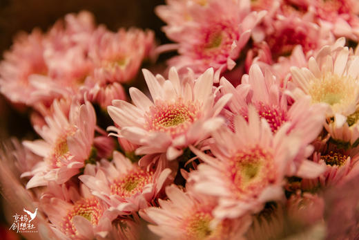 与花对话之《日常花事课》 商品图0