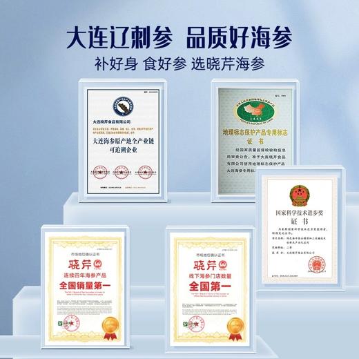 【大连老字号 口感爽脆软糯】晓芹即食海参正宗560g7头*2包大连海参辽刺参 15道专业工艺 营养不流失 商品图4