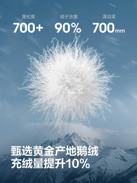 波司登极寒90鹅绒2025冬新款户外工装加厚保暖高蓬连帽羽绒服男 商品图6