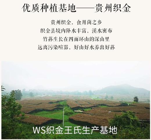 【王氏竹荪（特级）】250g 食疗养生  商品图2