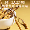 福东海 冬虫夏草礼盒 甄选高品质干虫草 补品过新年货送长辈 【特优20根】6克冬虫夏草礼盒 商品缩略图6