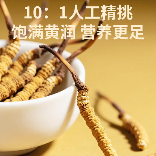 福东海 冬虫夏草礼盒 甄选高品质干虫草 补品过新年货送长辈 【特优20根】6克冬虫夏草礼盒 商品图6