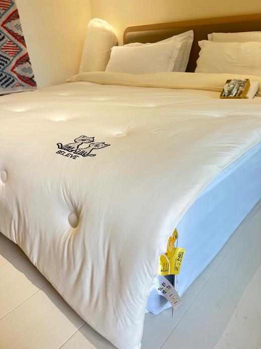 外贸6斤猫腹被 商品图3