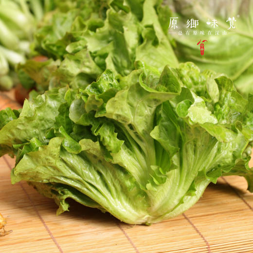 生态生菜（送2两小葱）【农场直发-顺丰包邮】| 2.5斤装，来自成都郫都区 商品图2