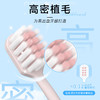 成人牙刷软毛高级宽头家用银离子抑菌日式家庭8支桶装牙刷 商品缩略图0