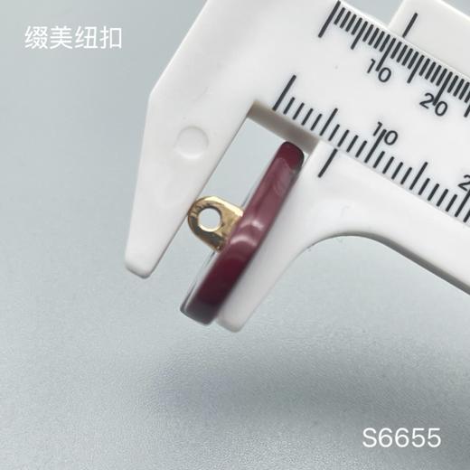 S6655(整包购买) 商品图4