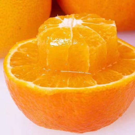 【丹寨红美人柑橘】 当季现摘 鲜甜爆汁 5斤装 商品图3