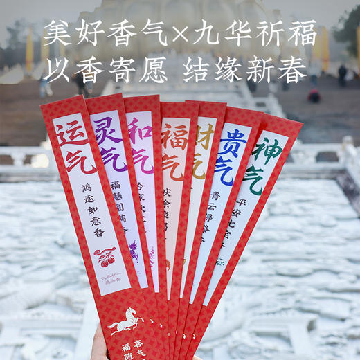 新年吉香，接鸿运当头！一香一愿，新春七天、祈福大满贯！附赠祈福证，福随香至，喜气盈门 商品图3