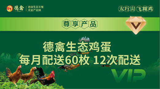 德禽/会员年卡/德禽生态鸡蛋 每月配送60枚12次配送 商品图2
