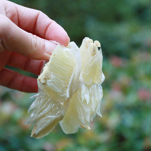 【万山香柚】一口清香脆爽多汁28.8元5斤包邮 偏远地区不发货 商品图3