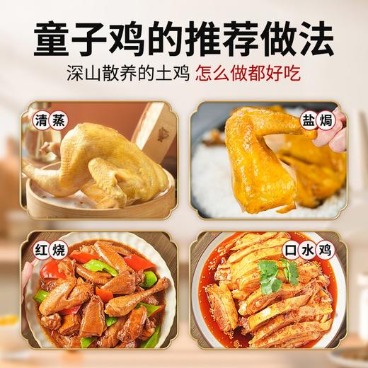 【发出后不支持拦截退货】杨博士 童子鸡 650g*3（赠鲜鸡血300g*2+口水鸡调料*1） 商品图4