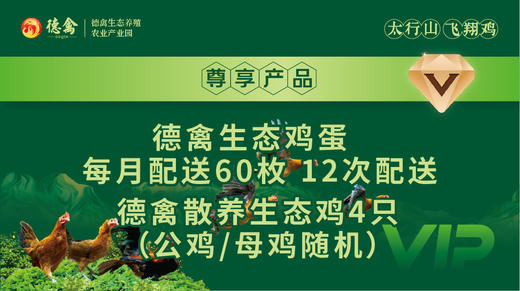 德禽/尊享年卡/德禽生态鸡蛋每月配送60枚12次配送 德禽生态散养生态鸡4只(公鸡/母鸡随机) 商品图2