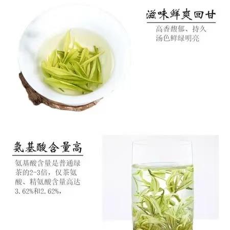 【正安白茶】一芽一叶  滋味鲜爽回甘  叶底嫩绿明亮  商品图2