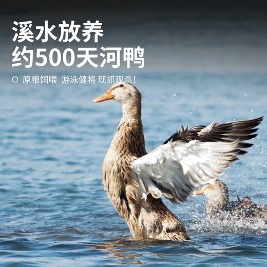 【发出后不支持拦截退货】杨博士 溪水河鸭 1000g（赠鲜鸡血300g*1） 商品图2
