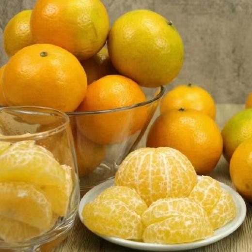 广西武鸣皇帝 柑｜口感巅峰2月9日停售｜产地现摘现发 商品图5