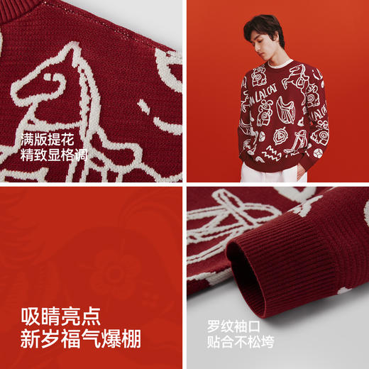 森柔|商场同款森马国博衍艺联名系列毛衫男春季提花毛衣2026新款 商品图2