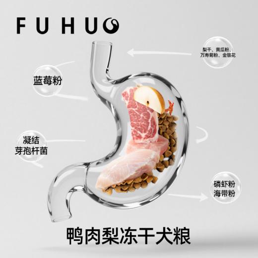 【主粮优惠】俘获K97鸭肉梨冻干犬粮泰迪金毛大中小型犬成犬幼犬通用全价狗粮 商品图3