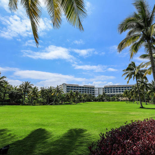 4天3晚【三亚香格里拉冬令营】寒假/春节可用！含儿童雨林探险活动、儿童直升机飞行体验，尊300元餐饮消费及豪华阁行政酒廊礼遇等，解放爸妈，欢乐假期！ 商品图4