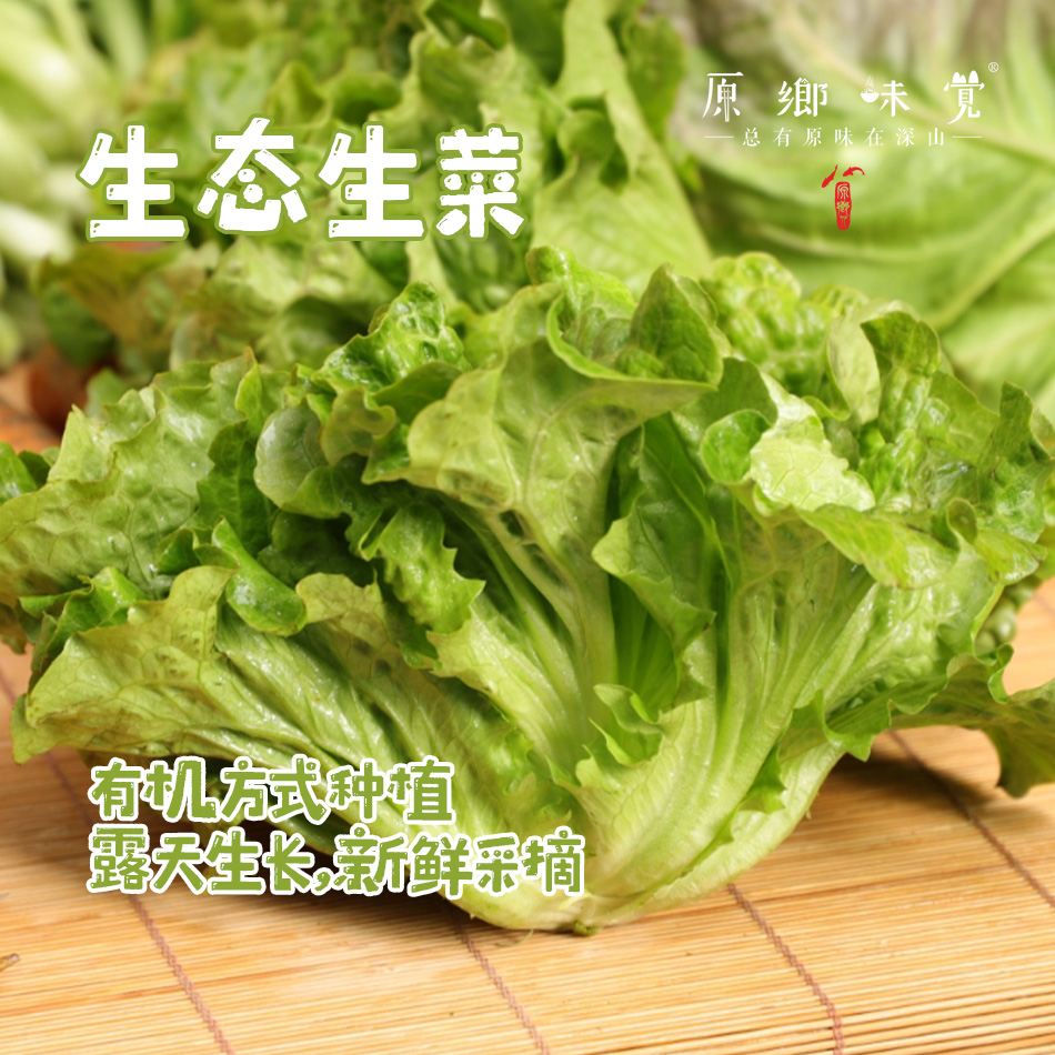 生态生菜（送2两小葱）【农场直发-顺丰包邮】| 2.5斤装，来自成都郫都区