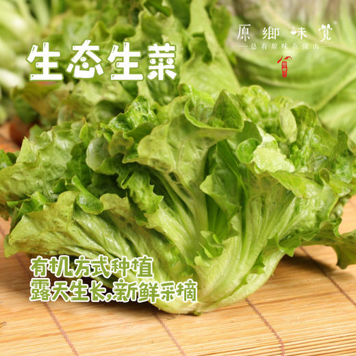 生态生菜（送2两小葱）【农场直发-顺丰包邮】| 2.5斤装，来自成都郫都区 商品图0