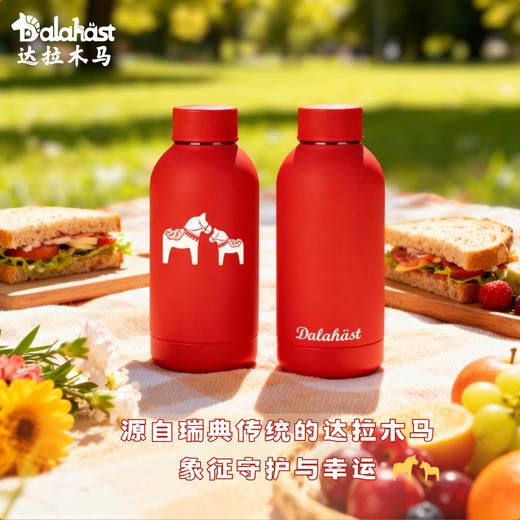 达拉木马保温杯300ml 商品图1