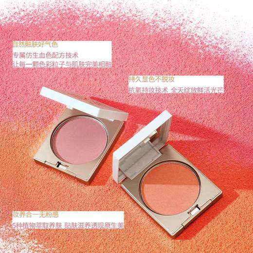 【380元会员福利】玛丽安保莱天使美丽腮红（聚光橘）12g 商品图2