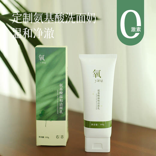  【2支减10元】【定制氨基酸洗面奶】温和清洁 无气味 成人和青少年均好用~100g 商品图0