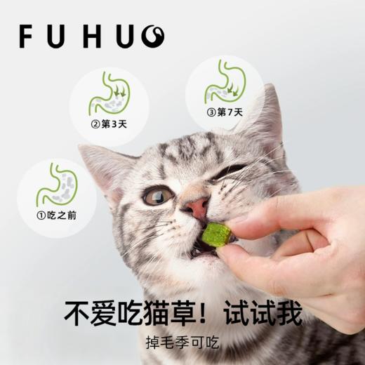 【俘获好礼】俘获G9猫草冻干猫草粒助排毛球化毛磨牙猫零食 商品图1