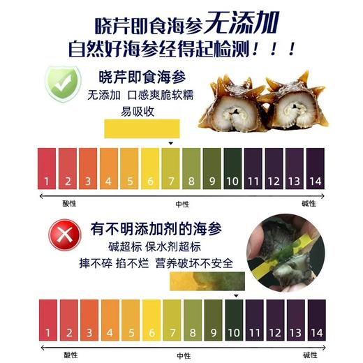 【大连老字号 口感爽脆软糯】晓芹即食海参正宗560g7头*2包大连海参辽刺参 15道专业工艺 营养不流失 商品图2
