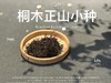 【家有好茶】2025桐木正山小种红茶，一呼一吸都是花蜜香与桂圆果香，丰腴，甘爽，和美 商品缩略图4