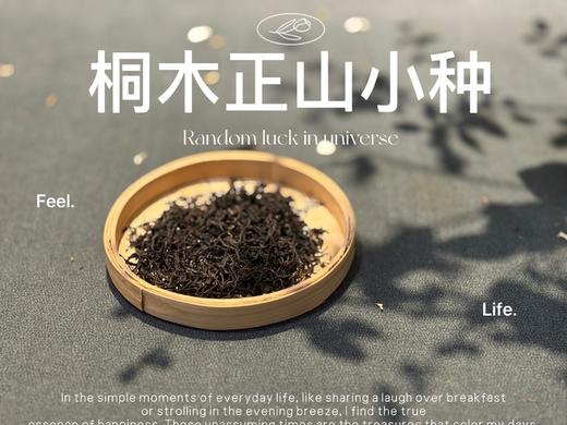 【家有好茶】2025桐木正山小种红茶，一呼一吸都是花蜜香与桂圆果香，丰腴，甘爽，和美 商品图4